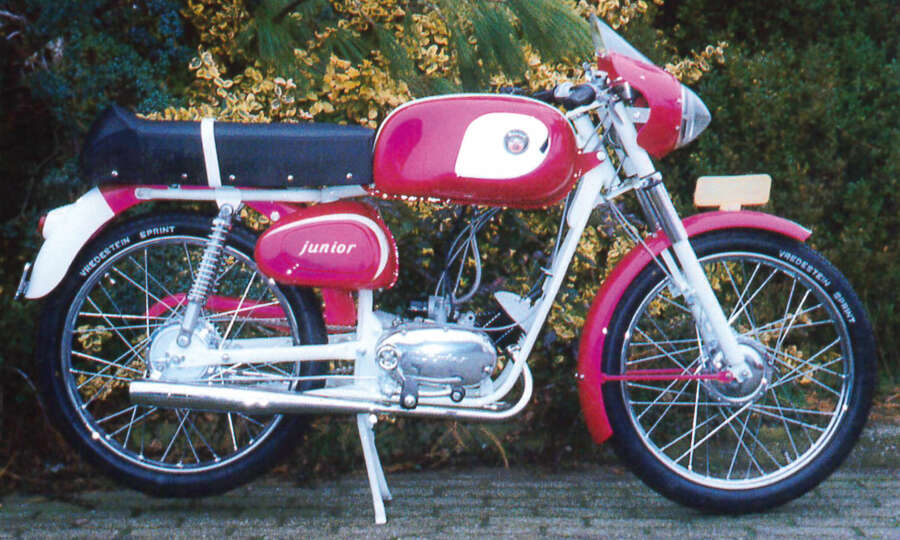 Berini junior 1