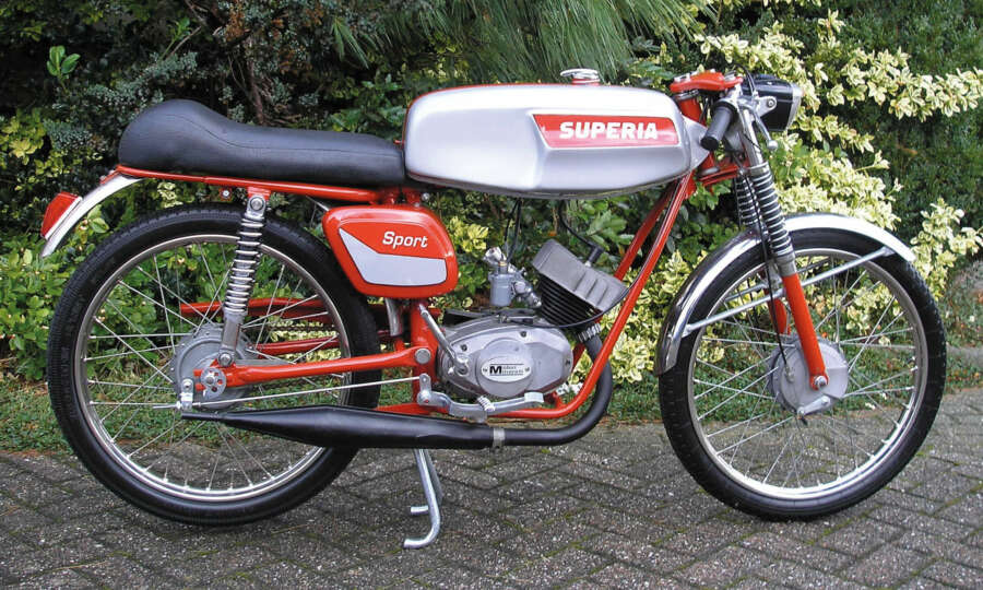 Superia sport 1